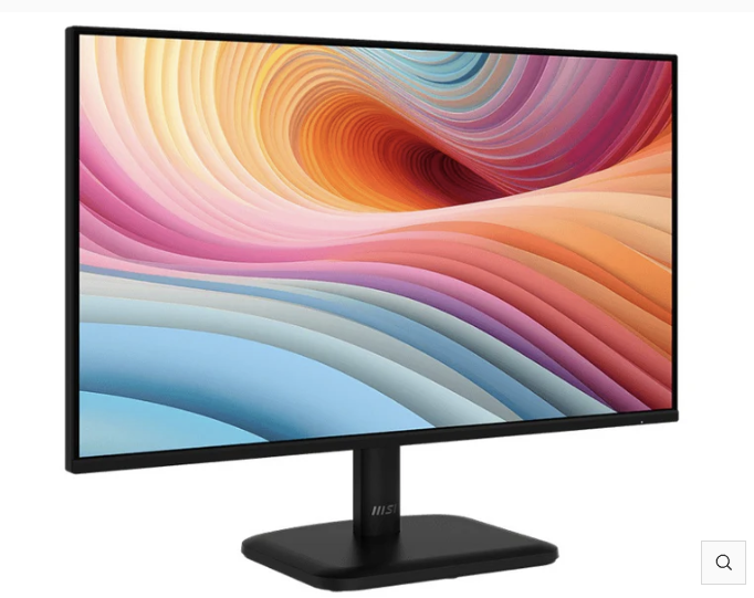 MSI PRO MP251L E2 24.5" FHD